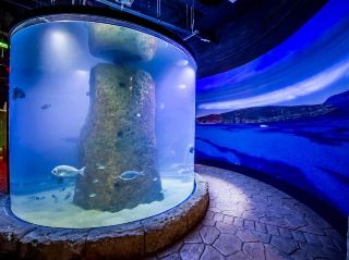 몰타 국립 아쿠아리움 - 방문할 가치가 충분합니다.