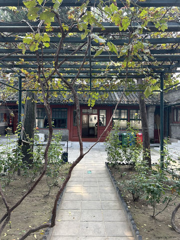 Beijing Courtyards✨  