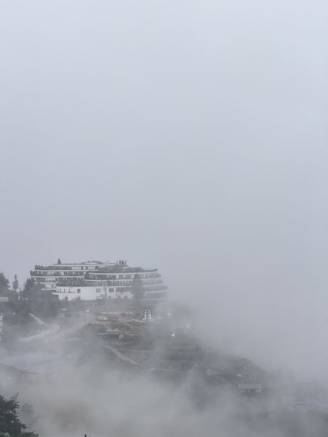 พักที่ Cat Cat Gallerie d’Art ซาปาให้ 100/10 