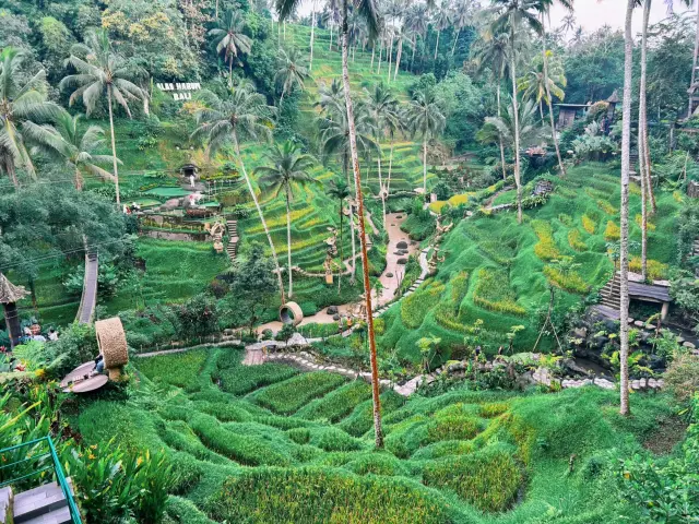 Alas Harum Bali: A Ferris Wheel Surrounded by Nature