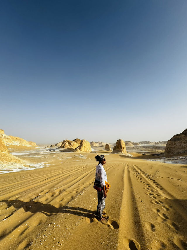 古文明神廟漫遊時空和自然之旅🕌  