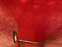 來青森、八戶，千萬不可錯過的「十和田市當代美術館」