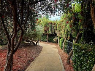 The Huntington Library, Art Museum, and Botanical Gardens