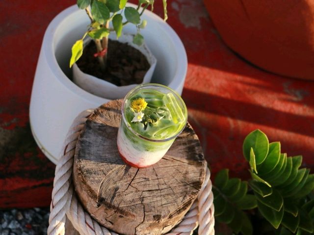 🌿❤️ Please Matcha Bar 🌿❤️ Please Matcha Bar