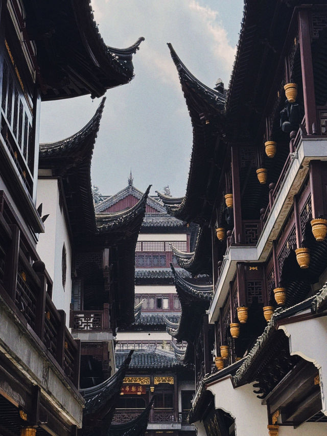 Shanghai’25 Shanghai’25