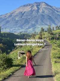 SWISSNYA INDONESIA VERSI JAWA TENGAH