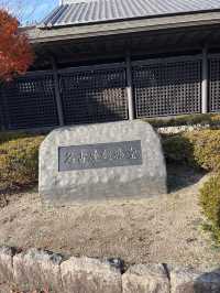 冬日暖陽照亮金鯱:名古屋城聖誕一日遊的奇蹟與浪漫