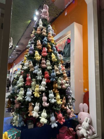 8泊10日で3カ国周遊🇬🇧🇧🇪🇳🇱