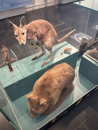 西オーストラリア海事博物館：海と出会う場所
