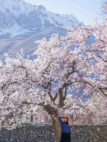 世界の絶景】信じられない！ここはスイスではなく、北パキスタンの春