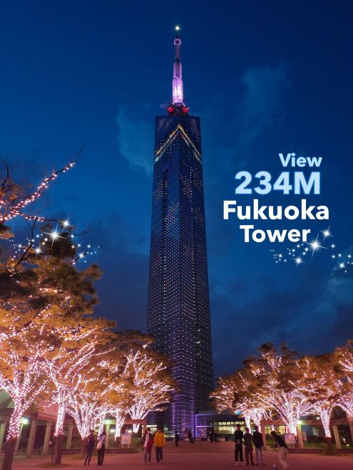 Let's check out the view from Fukuoka Tower!! | Trip.com Fukuoka