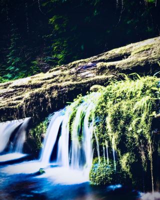  Italy Umbria Monti Sibillini Piano Grande Mossy Doline Trail