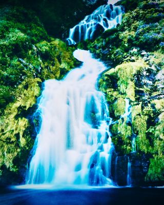  Italy Sicily Nebrodi Mountains Portella Femmina Morta Mossy Forest
