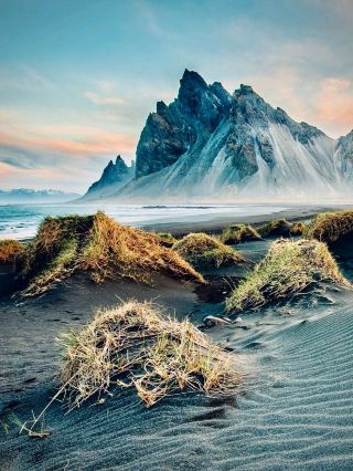 ルワンダ ニュングウェ ビググ山 苔むすキャノピー・ウォークウェイの森