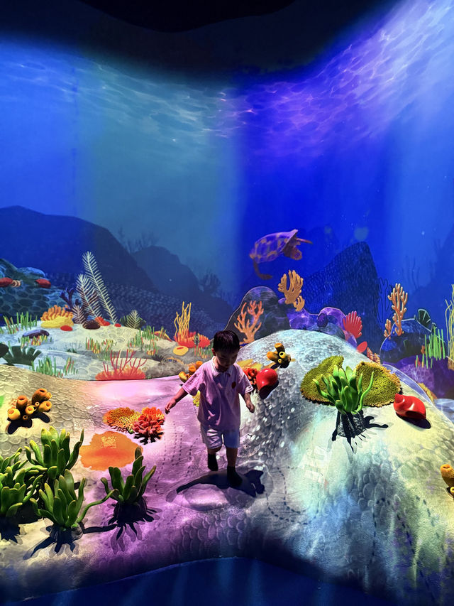 싱가포르에 이런 곳이 생겼다고? 아이와 가본 만다이 신상 Curiosity Cove