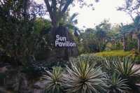 Exploring Singapore Beyond the Skyscrapers: My Sun Pavilion Experience