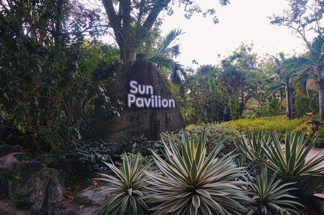 Exploring Singapore Beyond the Skyscrapers: My Sun Pavilion Experience