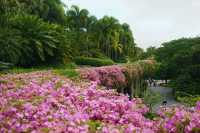 Supertree Grove Singapore: My Unexpected Nature Escape in the Middle of the City