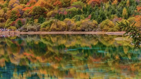 오늘부터 가을 시작! 제 화면은 온통 눈부신 가을빛으로 물들렸어요. — traveler post in 번시