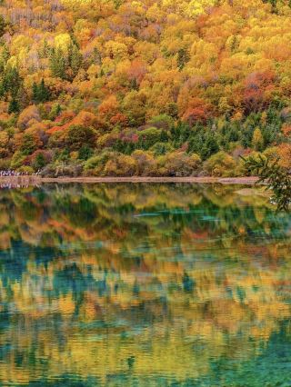 It's the start of autumn todayand myscreen is just filled with all these gorgeous autumn colors❤️