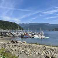 Deep Cove 寧靜海邊 草地野餐