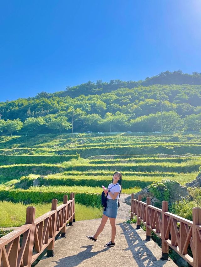 ‘그해우리는’이 생각나는 푸르른 남해의 다랭이마을🍀