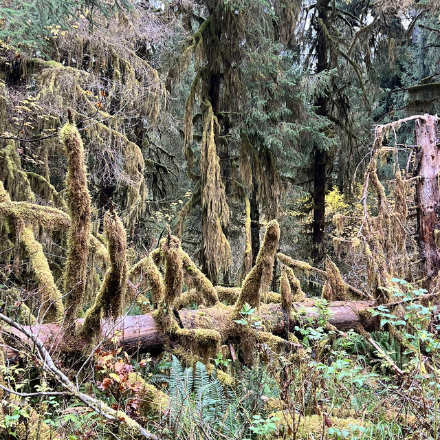 Hiking beauty that lasts in unforgettable moments 