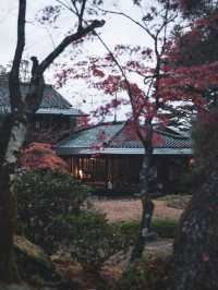 🍁 秋の無鄰菴で心落ち着く時間を 🍁