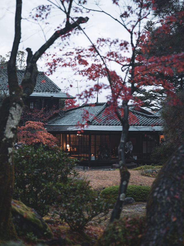 🍁 秋の無鄰菴で心落ち着く時間を 🍁