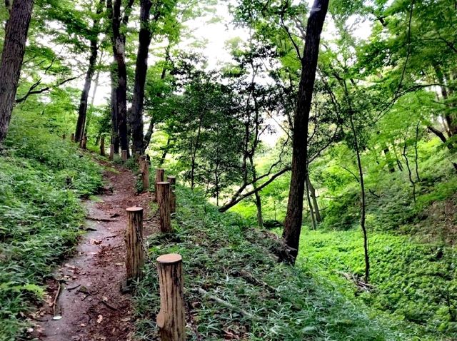 片倉城跡公園