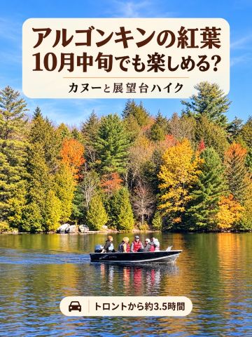 🍁 아르곤킨의 단풍, 10월 중순에는 늦은? 실제로 가보았다.