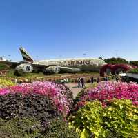 Dubai Miracle Garden is breathtaking 