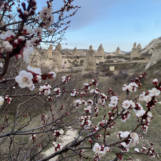 Cappadocia in spring 🌸