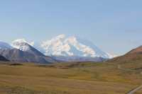 Discovering Denali National Park