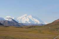 Discovering Denali National Park