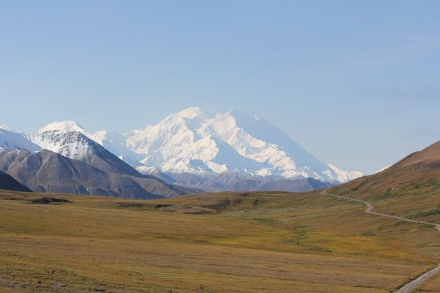 Discovering Denali National Park