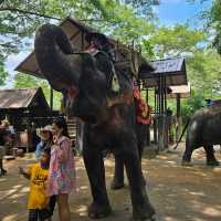 Trip Moments at Pattaya Elephant Village