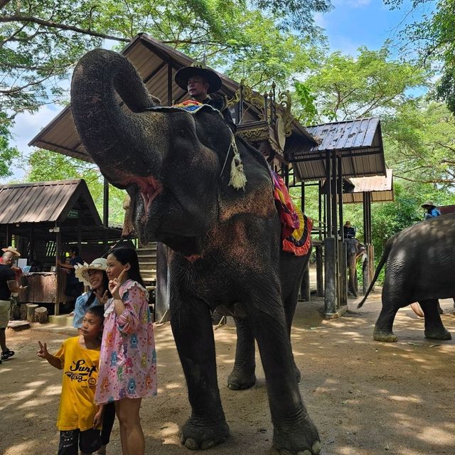 Trip Moments at Pattaya Elephant Village