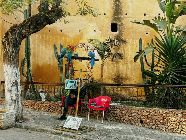 モロッコ・シャウエン – 青の迷宮で夢のようなひとときを🇲🇦💙