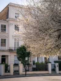 Spring in London: A Seasonal Dream 🌸🌷