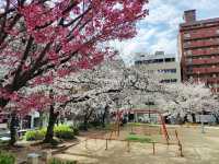 中大江公園