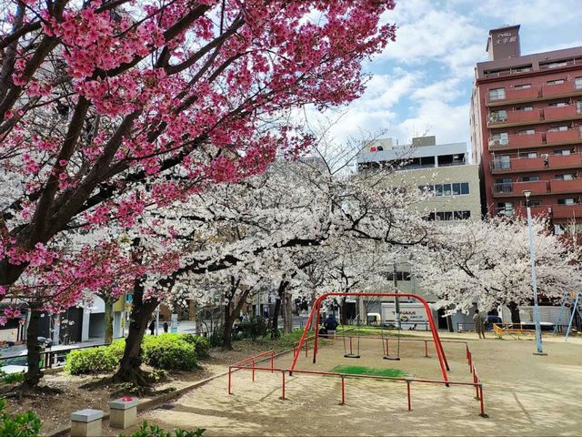 中大江公園