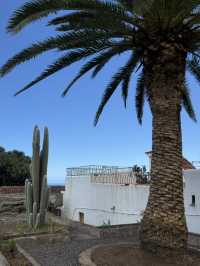 Parque del Drago: Tenerife’s Living Legend