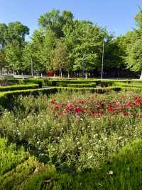 Spring Bloom at the Palace of International Forums, Tashkent
