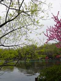 Hangzhou West Lake Day! 🌸🌸🌸
