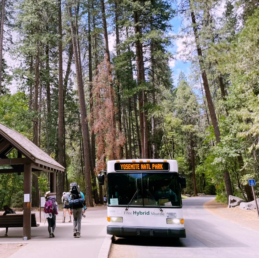 🌄 How to Get Around Yosemite National Park: Transportation Tips That Matter