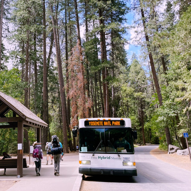 🌄 How to Get Around Yosemite National Park: Transportation Tips That Matter