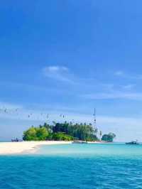 #malaysia#semporna#manulwaterbungalows#scubadiving#turtles#stingray