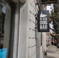 Discover Tbilisi’s Coolest Hidden Bar: Black Dog Bar!