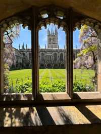 🌸 Wisteria Season in Oxford: A Dreamy Purple Veil over the City of Spires 🇬🇧✨